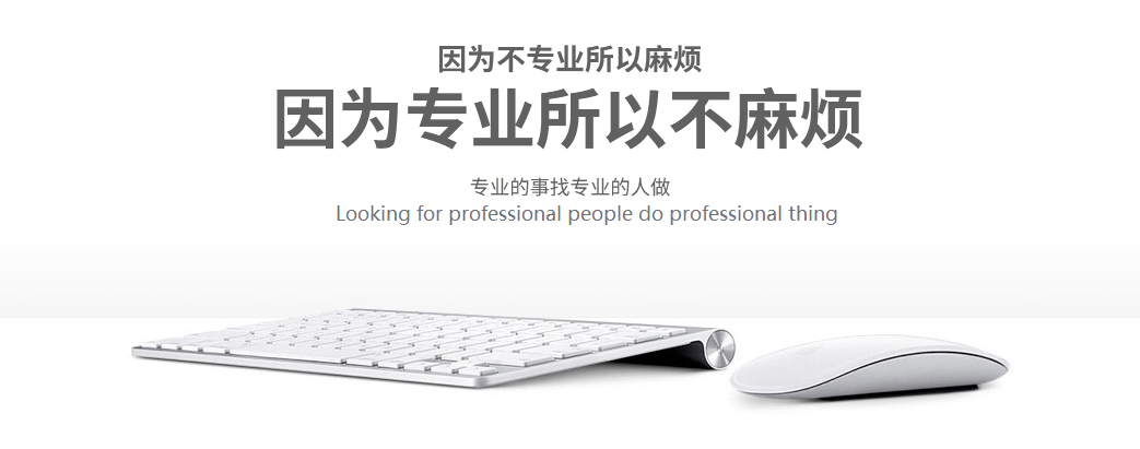 專業(yè)門戶網(wǎng)站建設(shè)